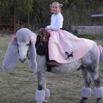 suzietirebiter's profile picture. not a dog