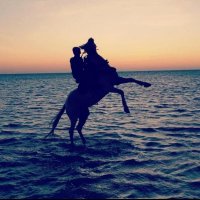 Ibrahim Abushal (@abrahimabushal) 's Twitter Profile