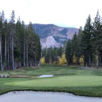 Tanessa Carter (@tcarter558) 's Twitter Profile