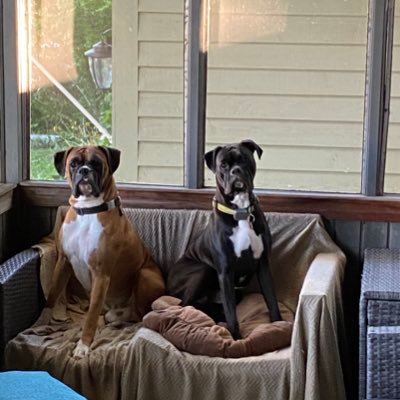 jamiebenthusen's profile picture. 