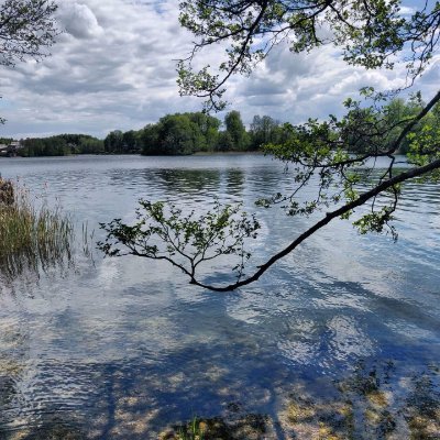 Brar_Y's profile picture. Crazy To Drive Past Waters and Sands