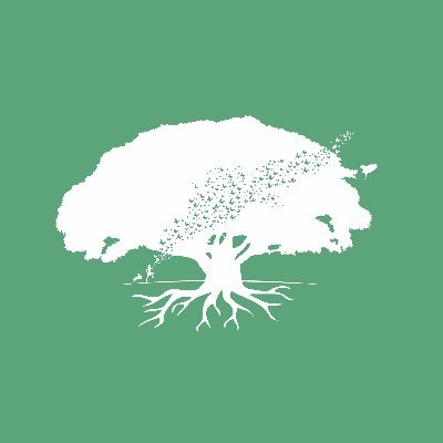 Estudiamos, fomentamos y gestionamos la práctica de plantaciones y generación de biodiversidad🌳🌱
#reforestemosparaguay