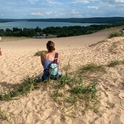 mickeyinthewild's profile picture. 