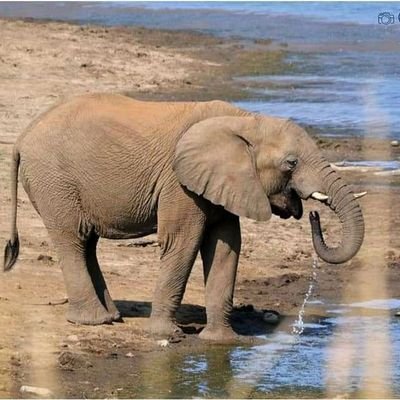 KonieGee's profile picture. 