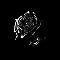 evan (@evanskickz) 's Twitter Profile Photo