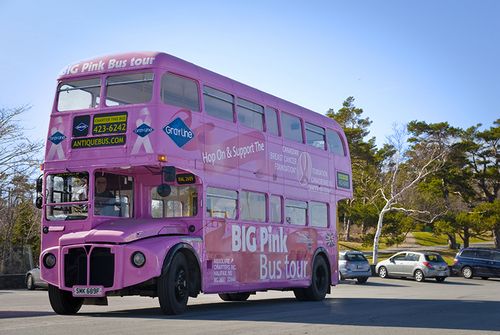 BIG Pink Sightseeing supports Breast Cancer research! For every guest riding the pink bus a contribution to the Canadian Breast Cancer Foundation is made.