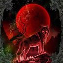 Hope Wolf - @Hopemikealson99 - Twitter