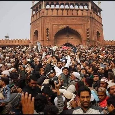 MohmmadRafikKh5's profile picture. भीम आर्मी उज्जैन जिला प्रभारी