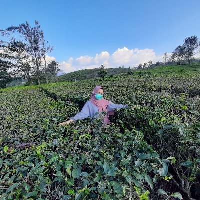 velvelyaaa's profile picture. 99