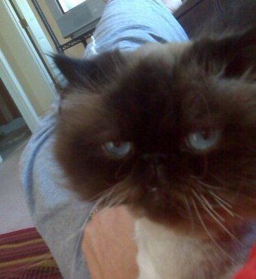 lilyciro's profile picture. 