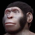 Homo Naledi (@homonaledi11) 's Twitter Profile