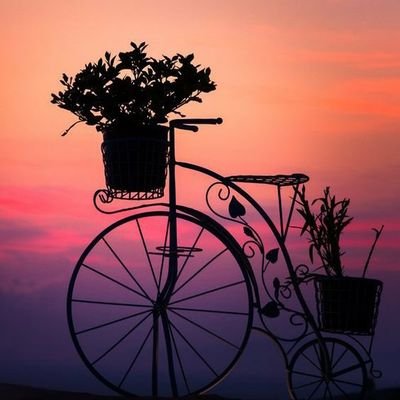 من أطباعها أن تغتسل بماء ورد 🌻
حتا اصبحت أنثى برائحة الورد 👸