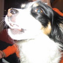 Tanner evans - @formereformer - Twitter