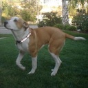 John Brison - @RationalLampoon - Twitter