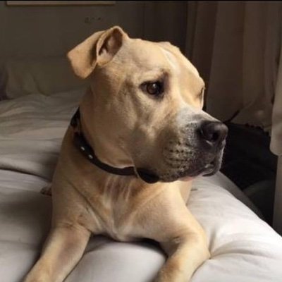 lydiawills's profile picture. 