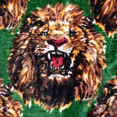 10 LI🦁N'S IN 1 MAN.