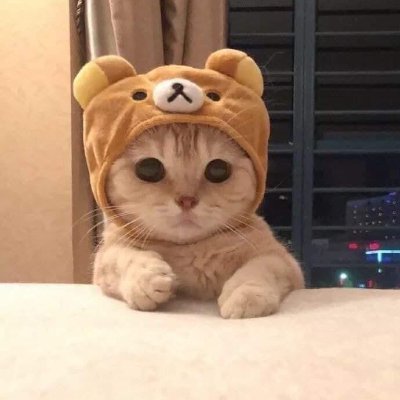 Assignm22160706's profile picture. I AM ACCEPTING ASSIGNMENTS NOW/ PAYMENT THROUGH G-CASH ONLY