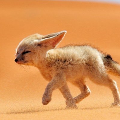 agneepath20's profile picture. 世界大同