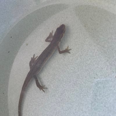 stuartrozier's profile picture. 