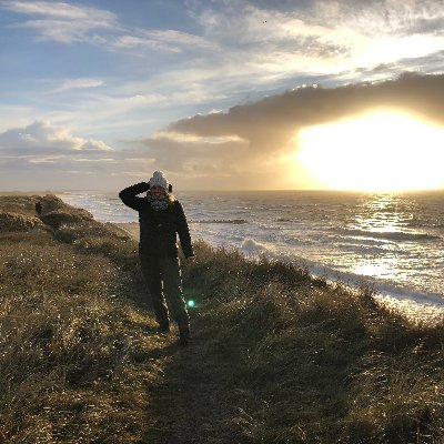 PhD candidate on #saltmarsh at @tuBraunschweig as a part of @GuteKueste. Landscape ecology/saltmarshes/remote sensing/bees/nature. Views are my own.