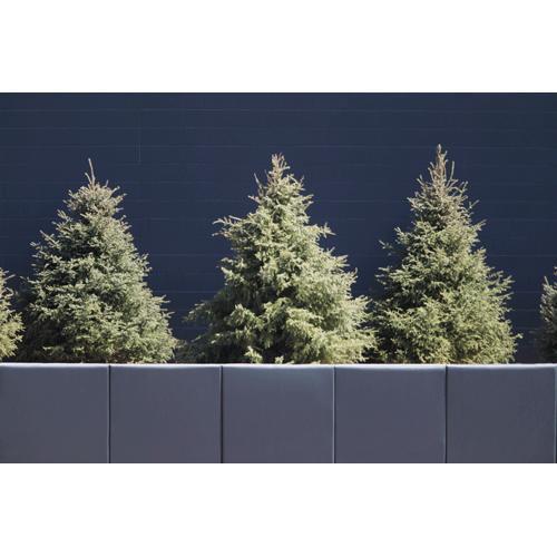 TargetFieldTree's profile picture. I used to be in the batters eye at Target Field...now I'm in a state park...