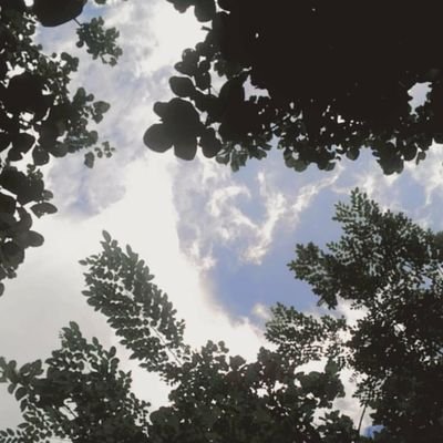 s8cSflcQ8YeHM0B's profile picture. เเอคเก่าบินครับ