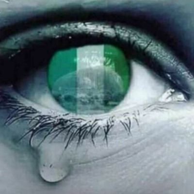 FemiDaniel_'s profile picture. A work in progress.