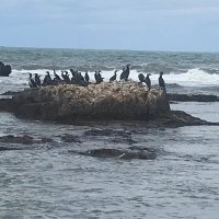 Issack (@issab5191) 's Twitter Profile