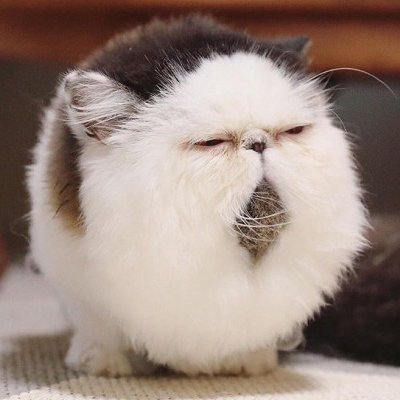 Doctor_Dekcel's profile picture. Работает - не трогай!