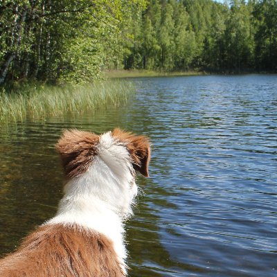 Maailma käy paremmin järkeen, jos sen mieltää elokuvaksi. Vaikka meno tuntuu epätodelliselta ja epätoivoiselta, on loppu onnellinen.