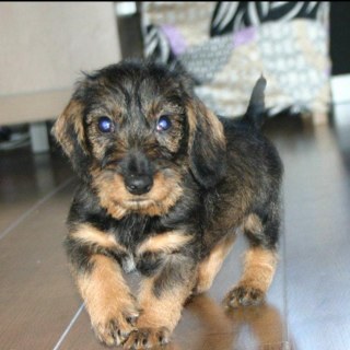 Superboer73's profile picture. 