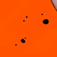 泡椒鱼 (@allttttttt) 's Twitter Profile