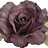 muzainmahmood's profile image