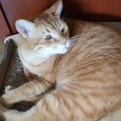 uep_love's profile picture. KAT-TUN上田担(*´∇｀)
のんびりまったり更新で、たまに絡みに行きます(笑)