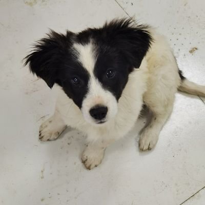 klKuleZO7zGBFRU's profile picture. 