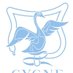 CYGNE (@buyse_sophie) Twitter profile photo CYGNE (@buyse_sophie) Twitter profile photo