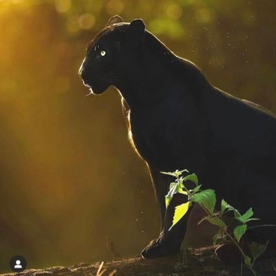 EricL03834808's profile picture. 开开心心过好每一天