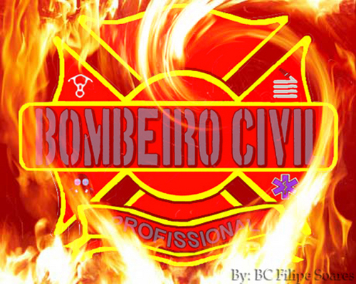 Bombeiros Profissionais Civis (Lei 11.901)