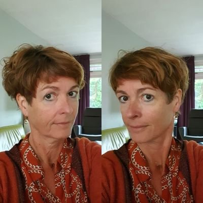 norbine's profile picture. gediplomeerd vraagteken/Eindhoven/romans/schaak en pingpong/erkannogmeerbij