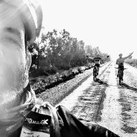Jaco Prinsloo (@jacopza) 's Twitter Profile