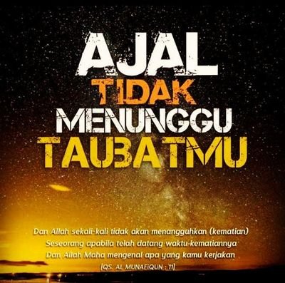 JamilAmirullah's profile picture. Berilmu dan Beramal