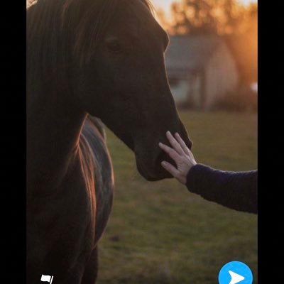 rona36702661's profile picture. 