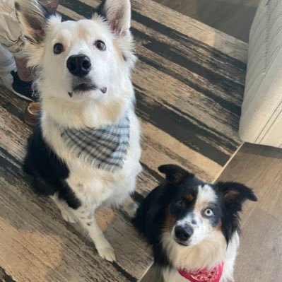 WolfffyWhit's profile picture. cosmotoligist and MA. I slay✂️