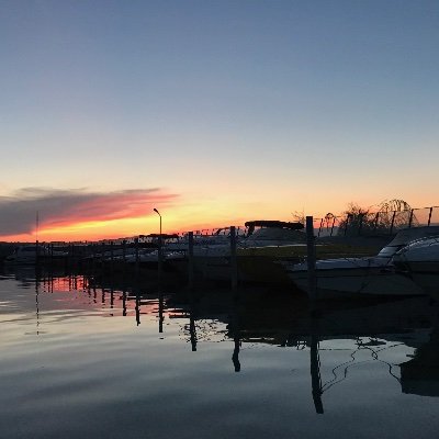 pucalowski1's profile picture. NATURELLE