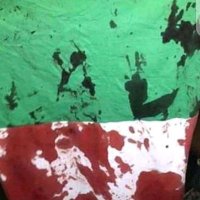 Umar Farouk (@umarfar59231435) 's Twitter Profile