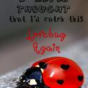 Brooke Altman - @brookejonas16 - Twitter