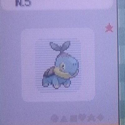 Fan de Pokémon et Shiny Hunter FO. - 
1/8192 : ✨ 4 - 1/4096 ✨ 7