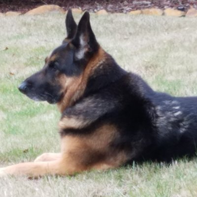 McalisterSusan's profile picture. 