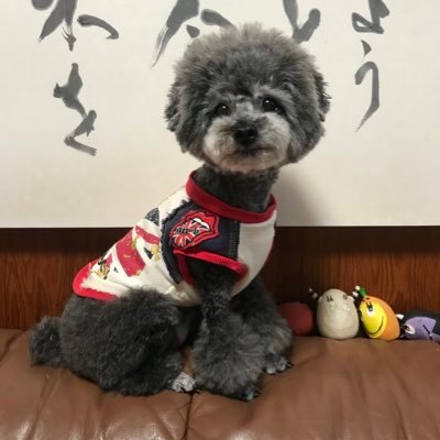 困っている人を助けるために頑張る◡̈⃝︎⋆︎*