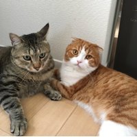 naree (@naree_stjp) 's Twitter Profile